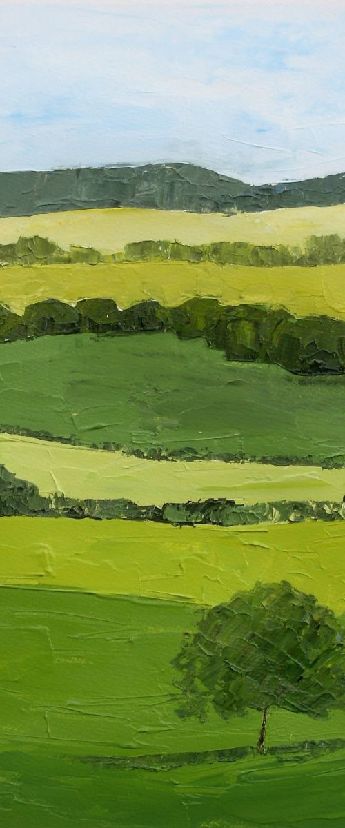Newlands Corner, Surrey by Jan Rippingham