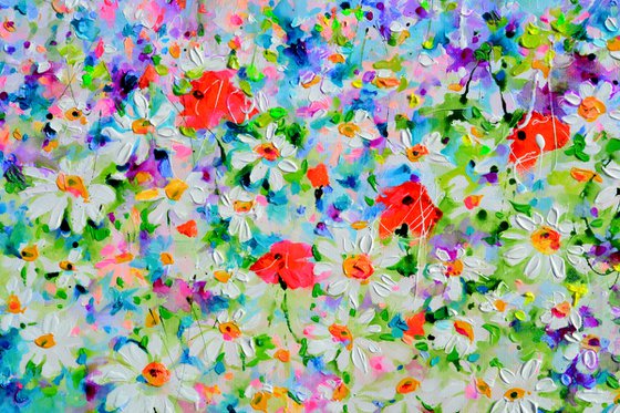 White Daisy and Red Poppy Field