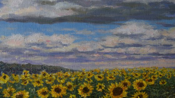 Sunflower Field - original landscape painting