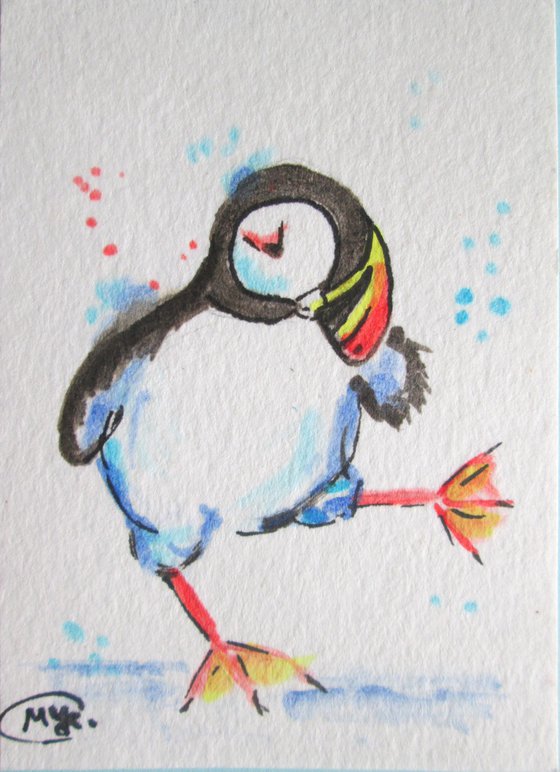 Atlantic Puffin Dancing