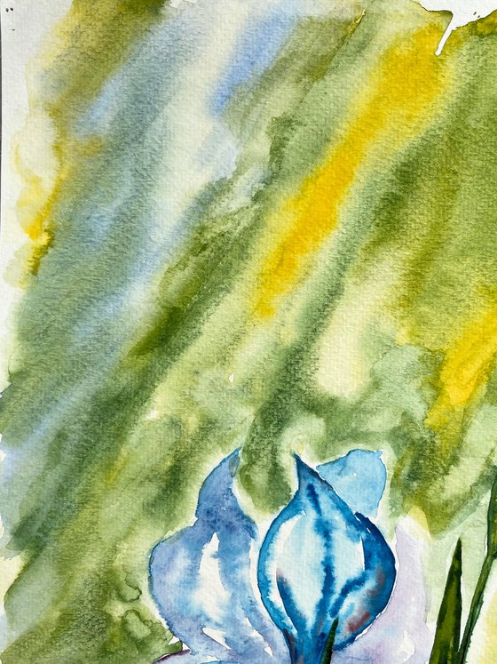 Iris Painting