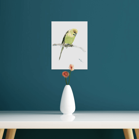 Budgie, Parakeet painting