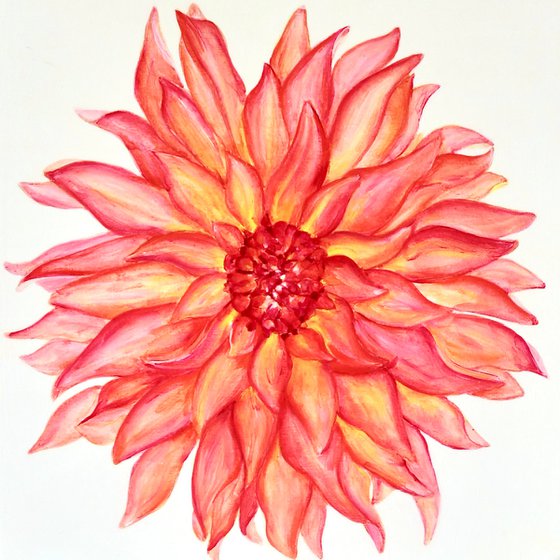 Dahlia