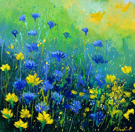 Daisies