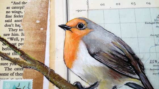 Robin- Ornithology #10 - Framed ready to hang original painting