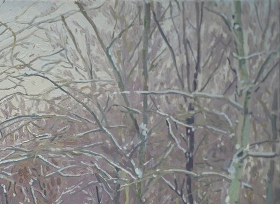 Snow-covered boulevard in Maryino