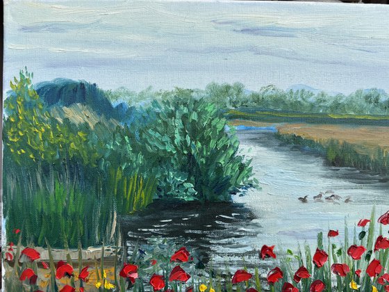 Red poppies by the water. Pleinair painting