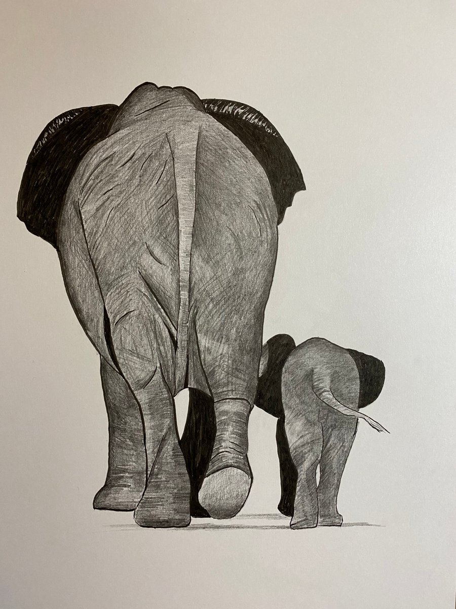 Elephants out strolling by Maxine Taylor