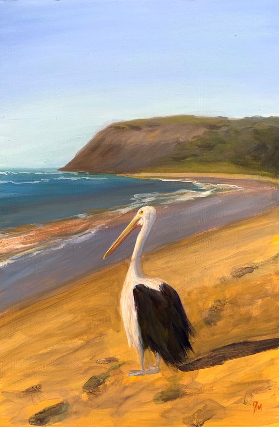 Pelican