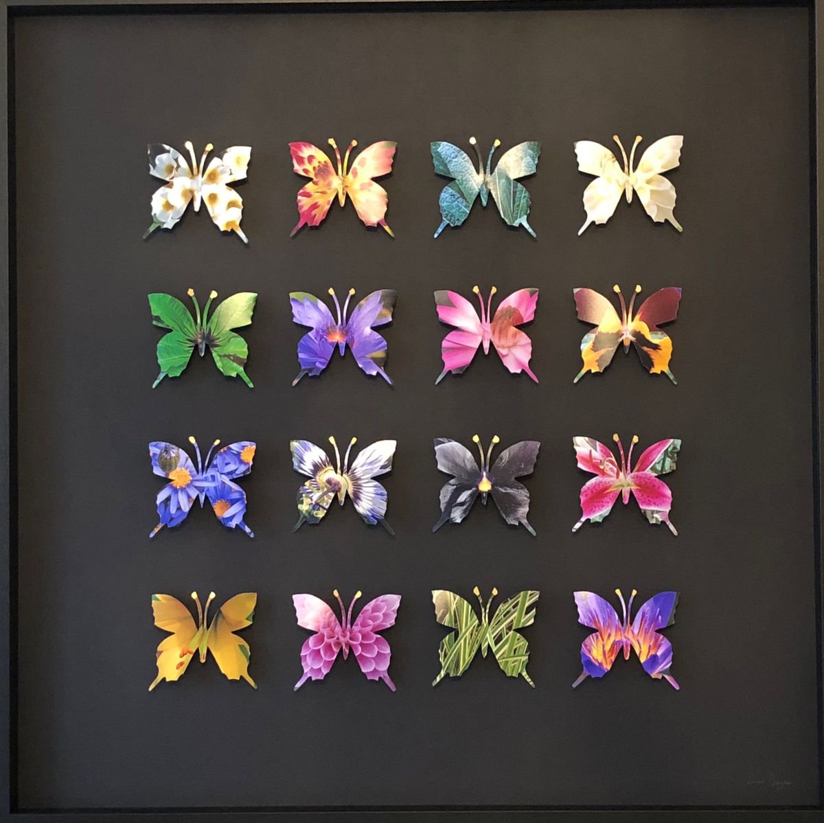 Flower Butterfly Box by Lorna Doyan