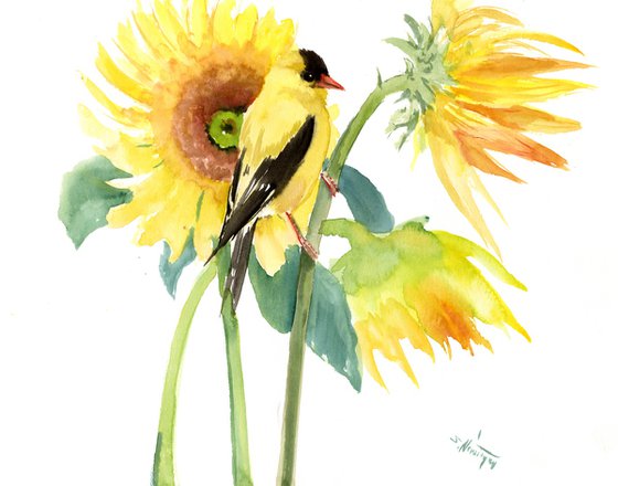 Sunflowers and Yellow Finch