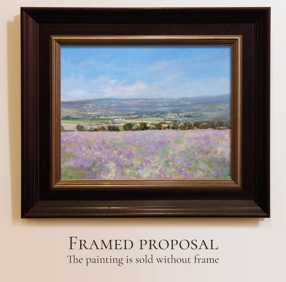 Lavender Fields