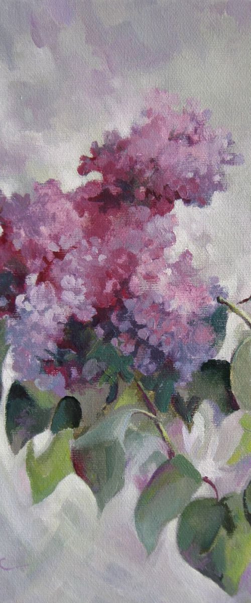 Lilac by Elena Oleniuc