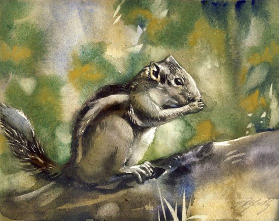 Little chipmunk watercolor