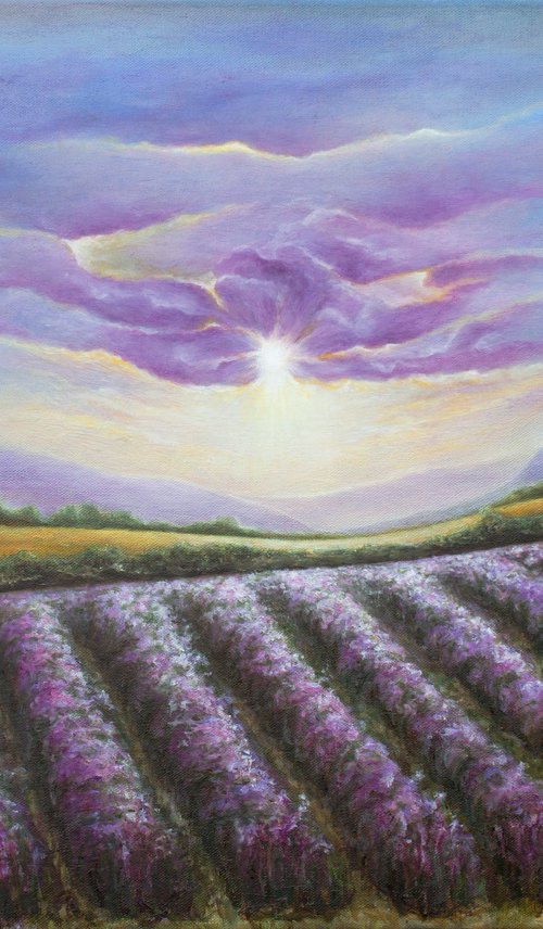 Lavender Fields Forever by Mila Moroko