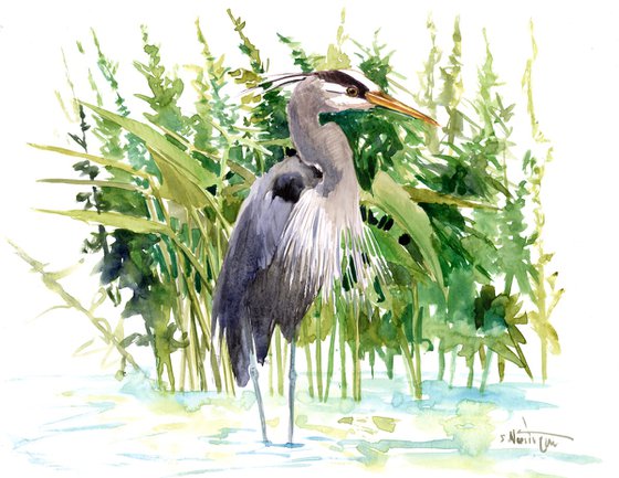 Blue Heron