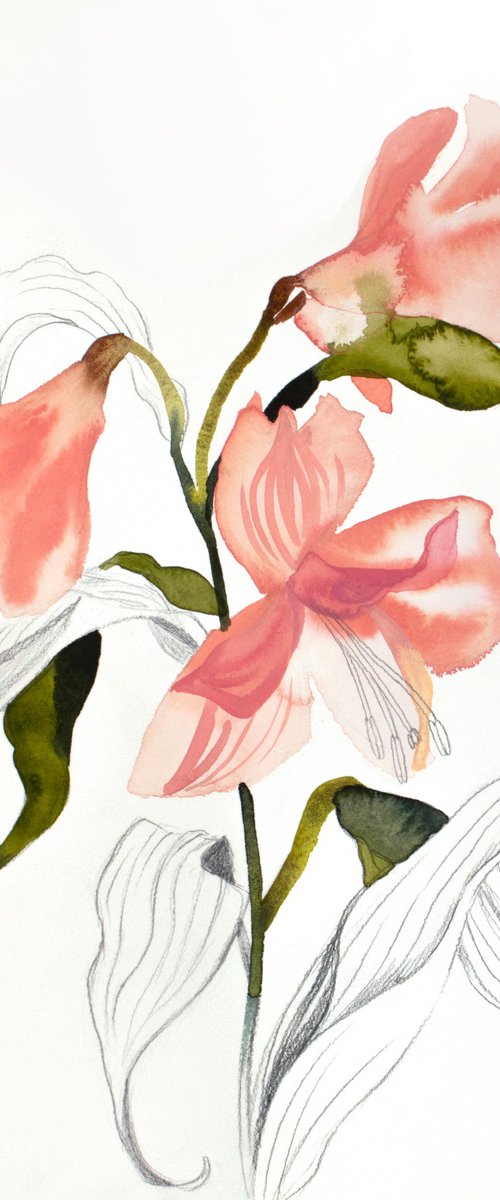 Lilies No. 15 by Elizabeth Becker