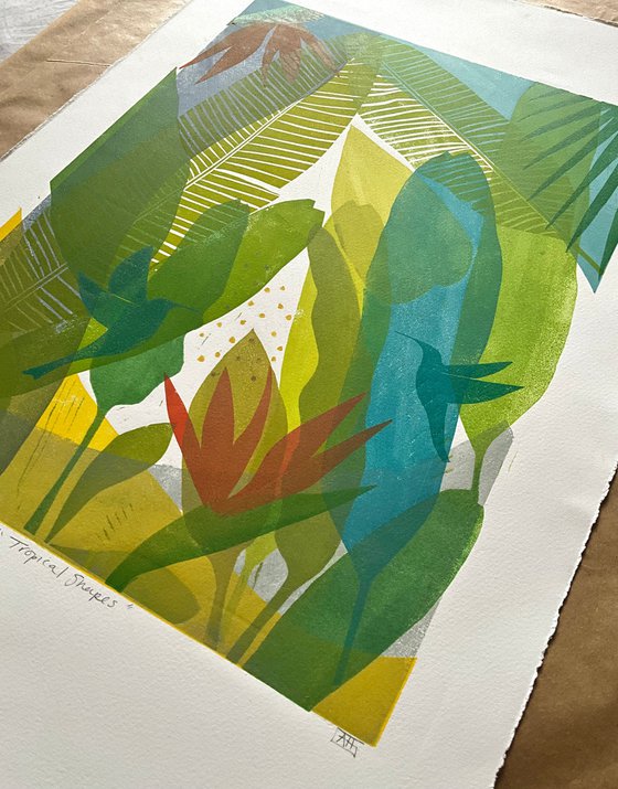 Tropical Shapes