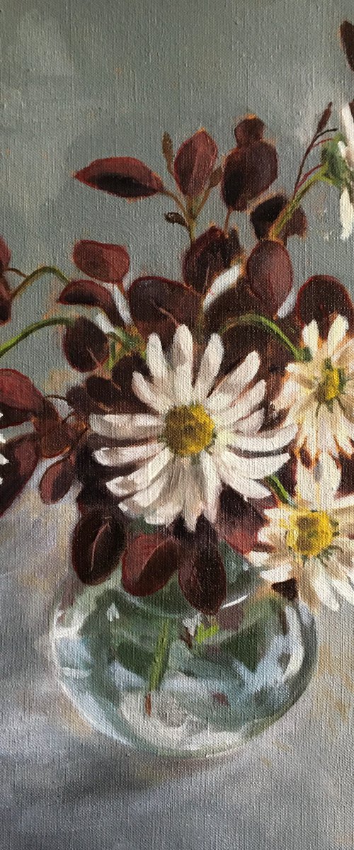 Shasta Daisies by Alison Chambers