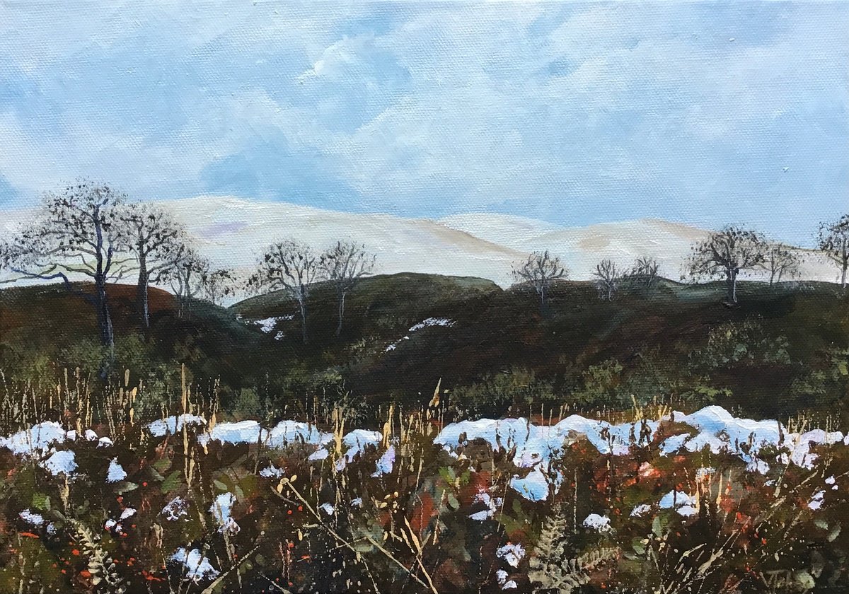 Dartmoor View by Valerie Jobes