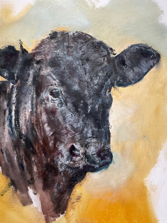 Calf
