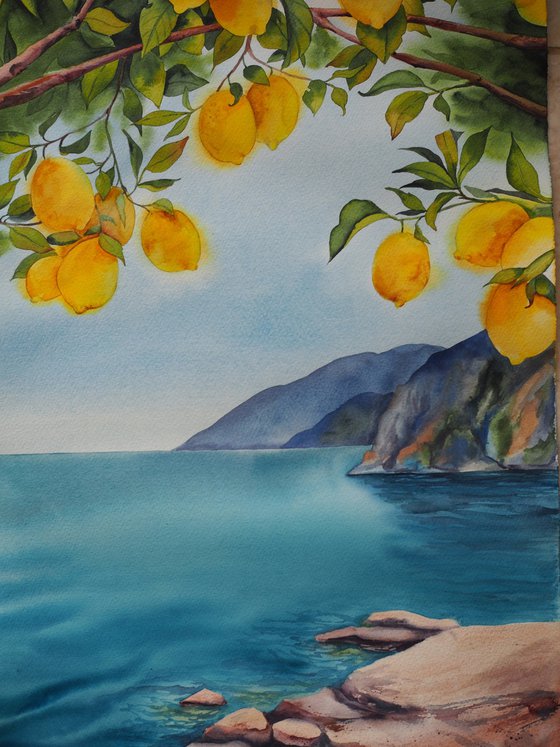 Mediterranean landscape