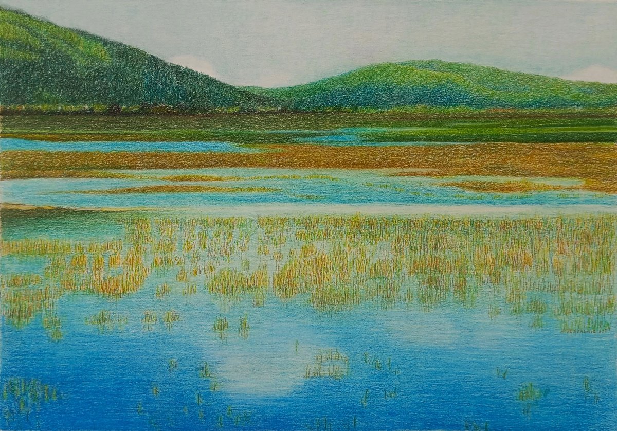 Photorealistic Landscape Pastel Drawing By Nives Palmic, 23 X 17", Cerknik Lake, Original Artwork