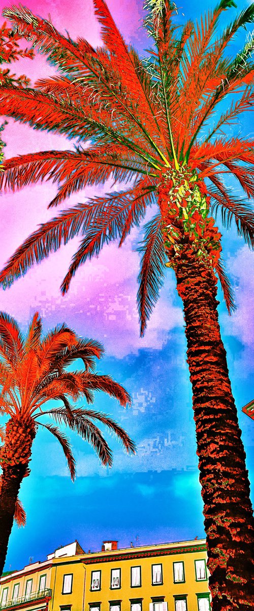 ABC#208 Palm #2 by Mattia Paoli