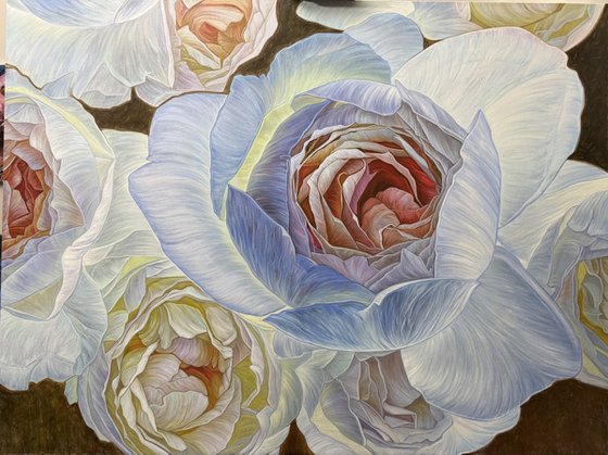 Blue roses