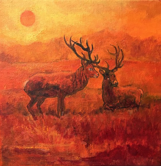 Richmond Park four seasons