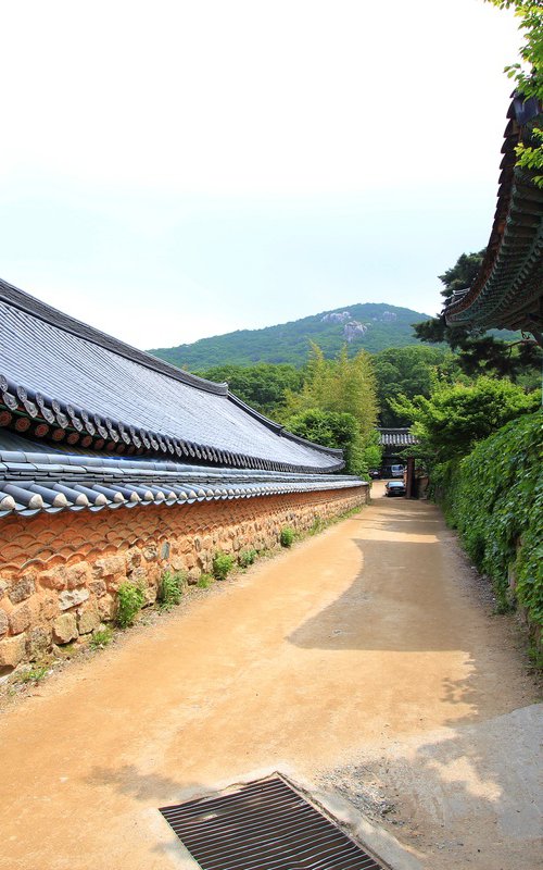A Narrow Road Beside the Mountain by sangwon jeon