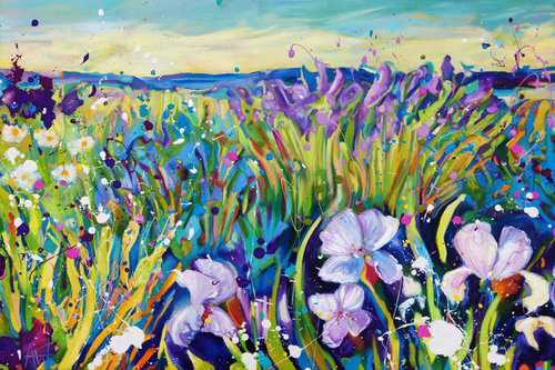Lavender Fields by Angie Wright