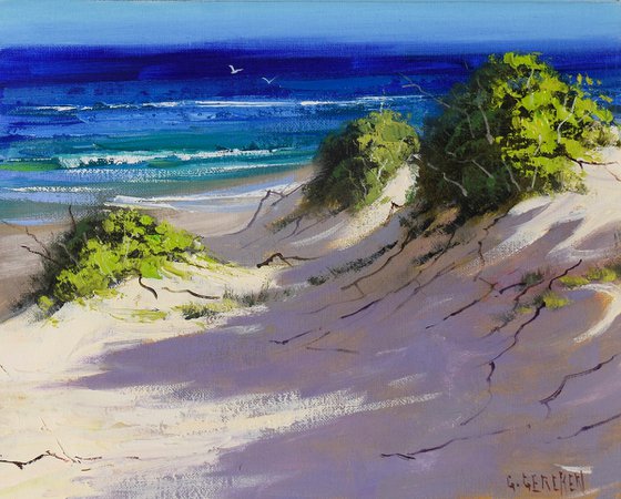 Summer day Beach Dunes