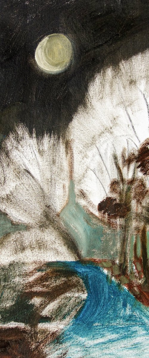 Midnight Hawthorn Blossom by Elizabeth Anne Fox