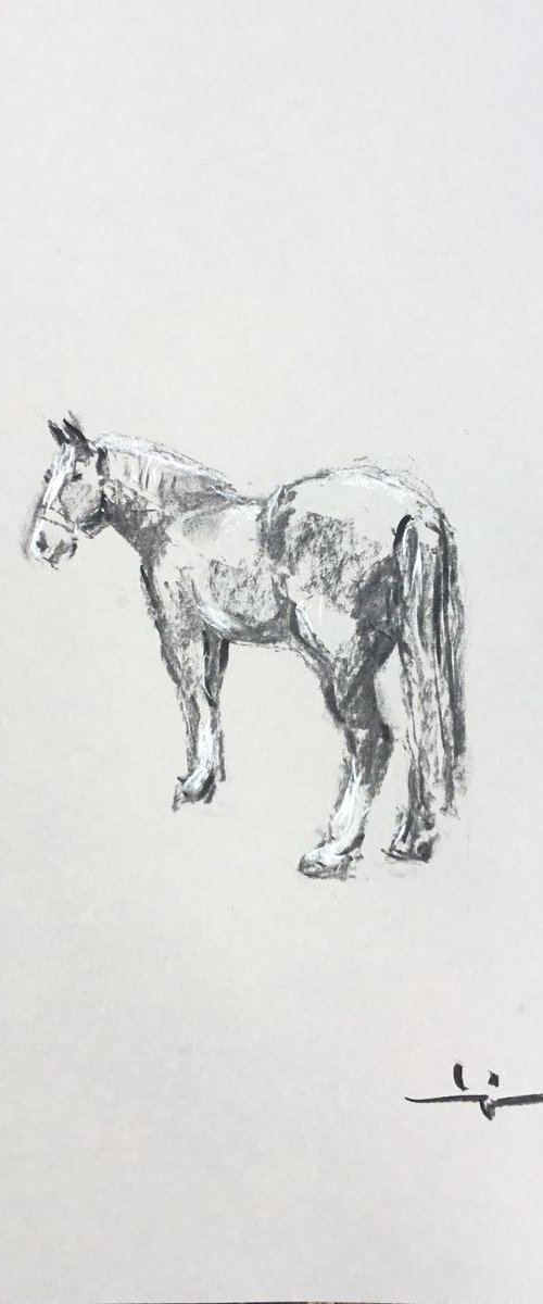 Horse Study 3 by Dominique Dève