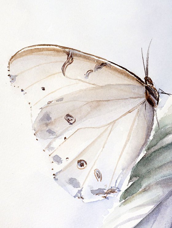 White Butterfly ORIGINAL Watercolor Painting - Minimalism Art