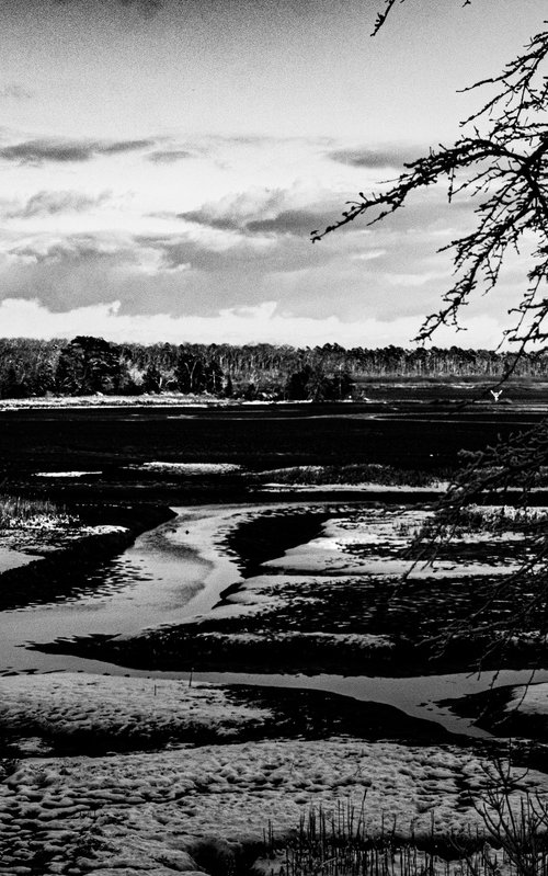 Silent Estuary by David Huntzinger