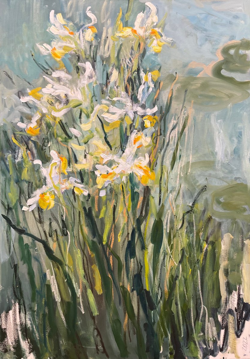 White irises by Lilia Orlova-Holmes