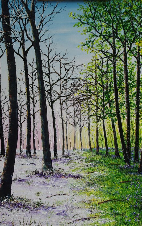 Winter To Spring In The Woods by Hazel Thomson