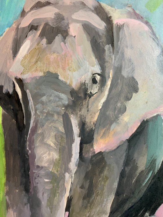 Elephant