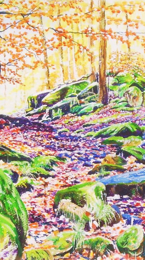 Autumn Light in Padley Gorge by Max Aitken