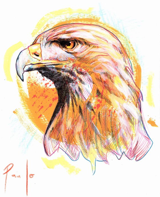 Golden eagle