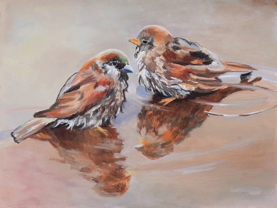 Sparrow bird couple in a puddle