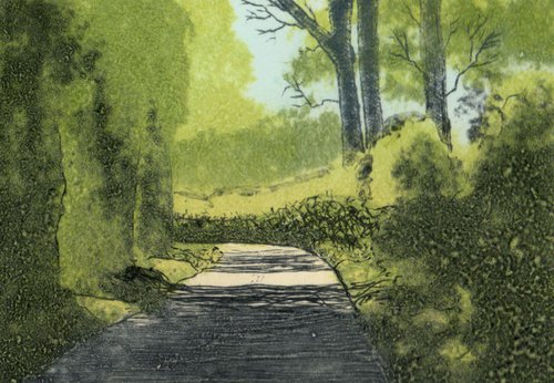 Summer Shadows by Aidan Flanagan Irish Landscapes