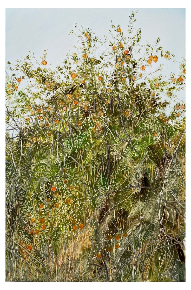 Organic Landscape Oil Painting By Maija Nochevnaya, 14 X 20", Abandoned Orange Trees, Original Artwork