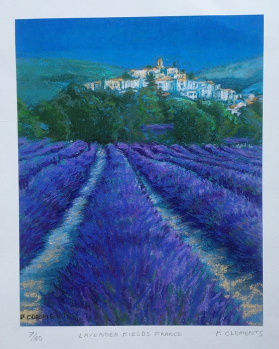 Lavender Fields france