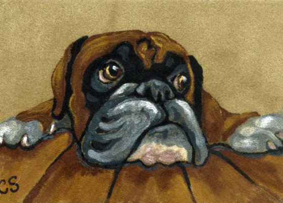 ACEO ATC Original Suede Painting Boxer Pet Dog Art-Carla Smale