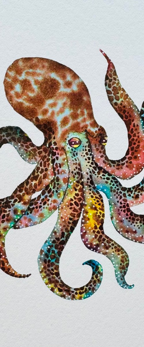 Original Watercolour Octopus by Kate Mac