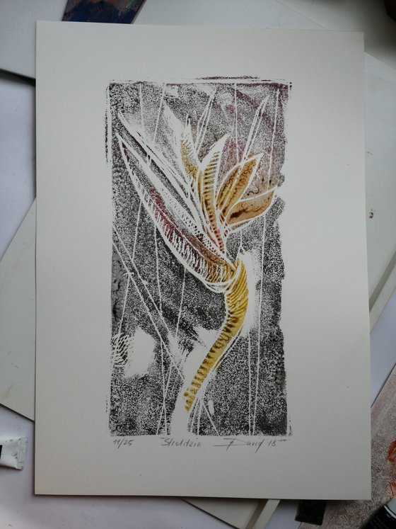 bird of paradise flower - Monotype 11