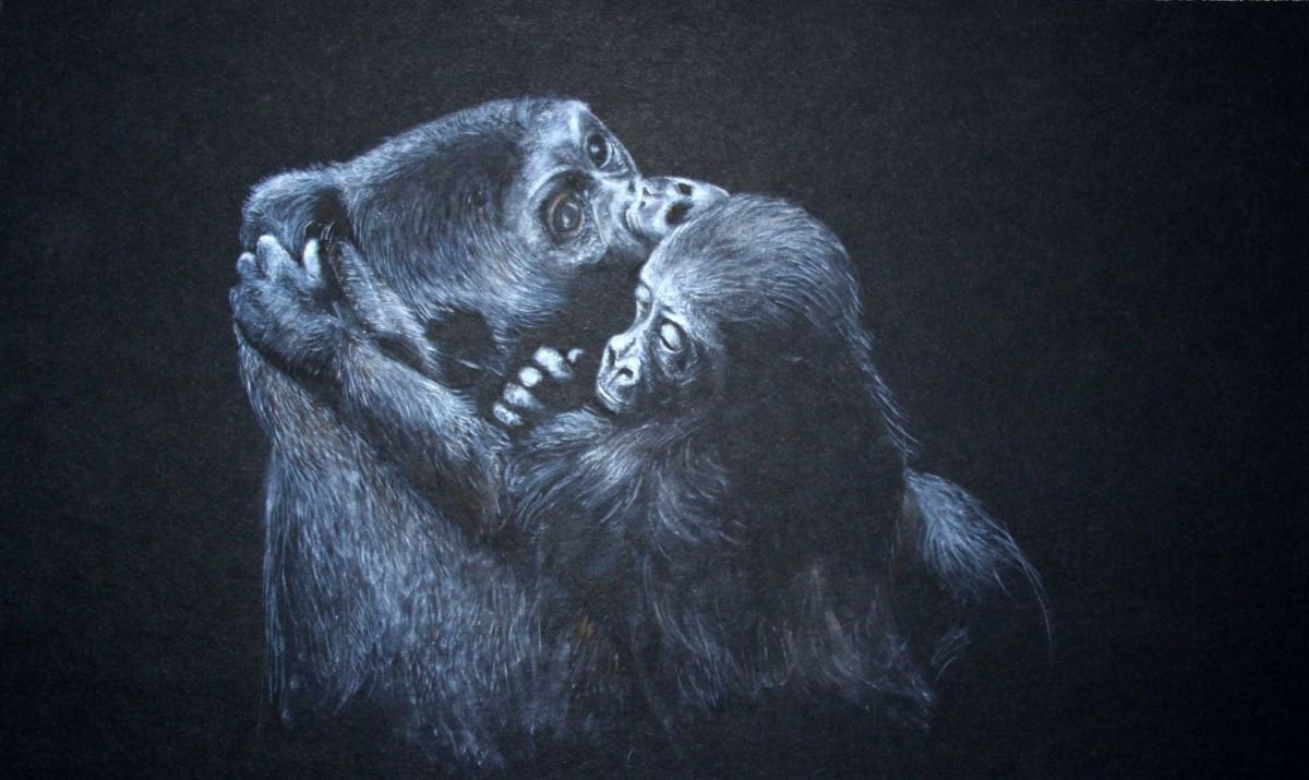 Western Lowland Gorillas by Lauren Bissell
